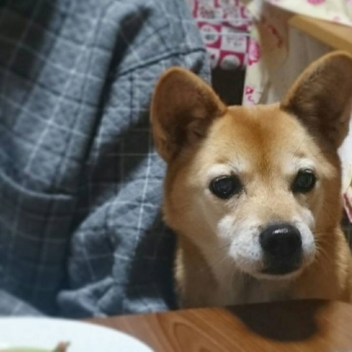 7b3b2d49 0d27 414c b7d0 6299d2cafa77