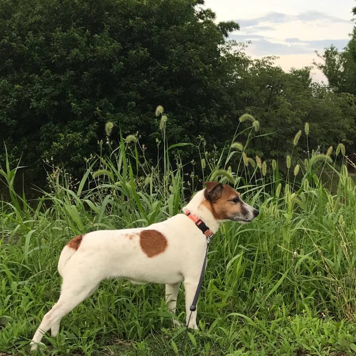 7b3b2e70 75f7 4733 9901 1ebc420133d3