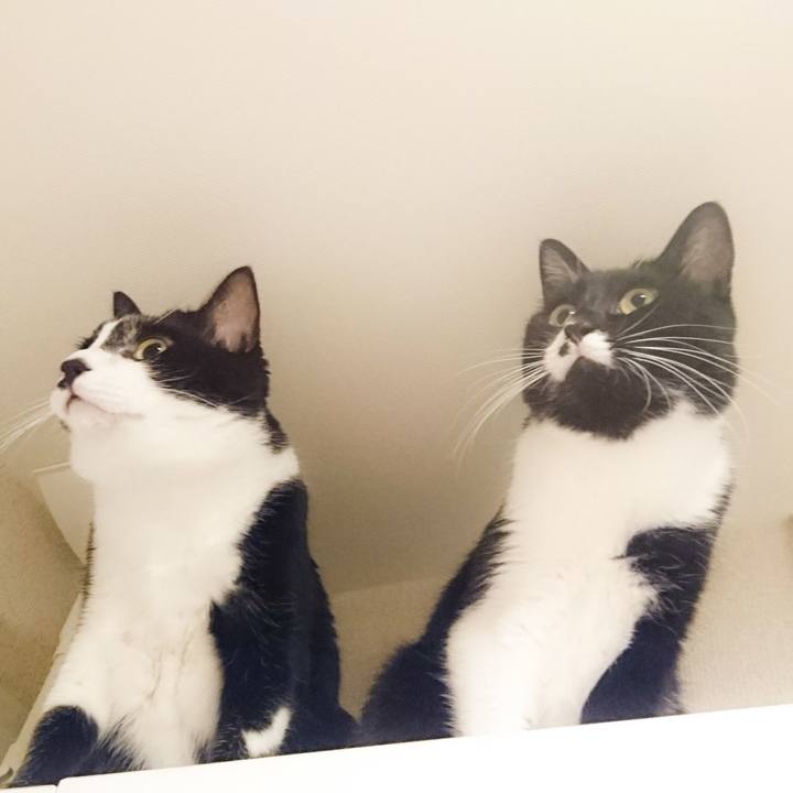 7b3bcafb c342 47e2 8168 6ad336667e73