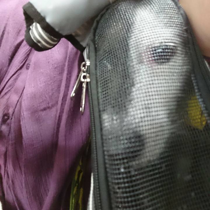 7b3bcf22 6a9e 4e43 9394 c0ece926d9b5