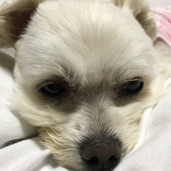 7b3c60c5 01ca 4d34 b51e 6cd4e4c1c45c