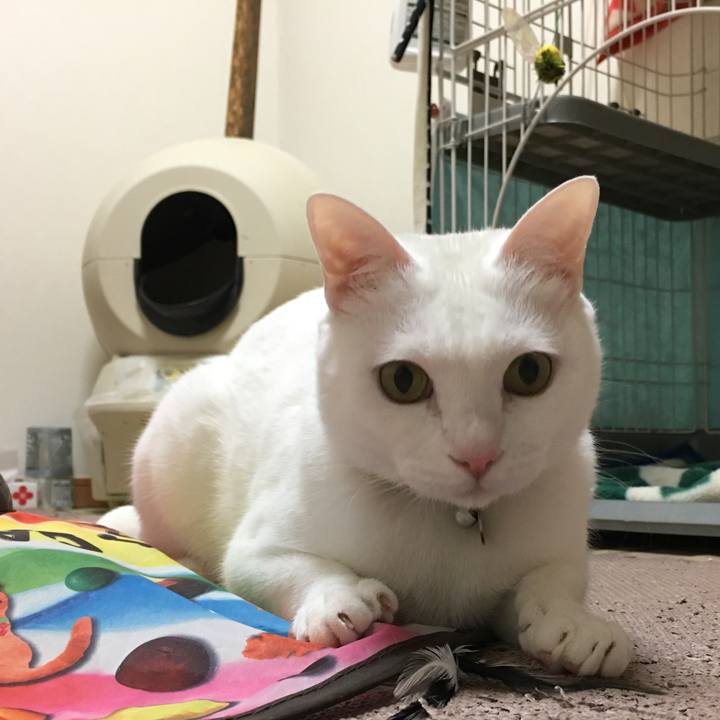 7b3c7305 2bc0 4e8b a980 1e0e96501c32