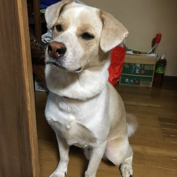 7b3c9fa0 b996 4e65 9fc1 760e4f87db97