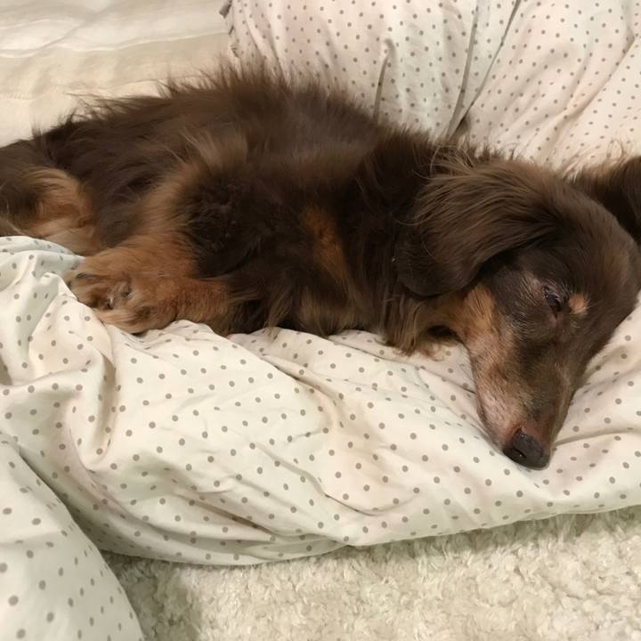 7b3ceaa2 d3c2 4611 97e8 53d6309fa6c1