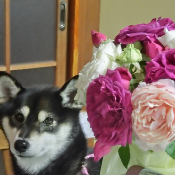 7b3ced8c 57fb 4fe3 99f4 d3c8bbfa91c4