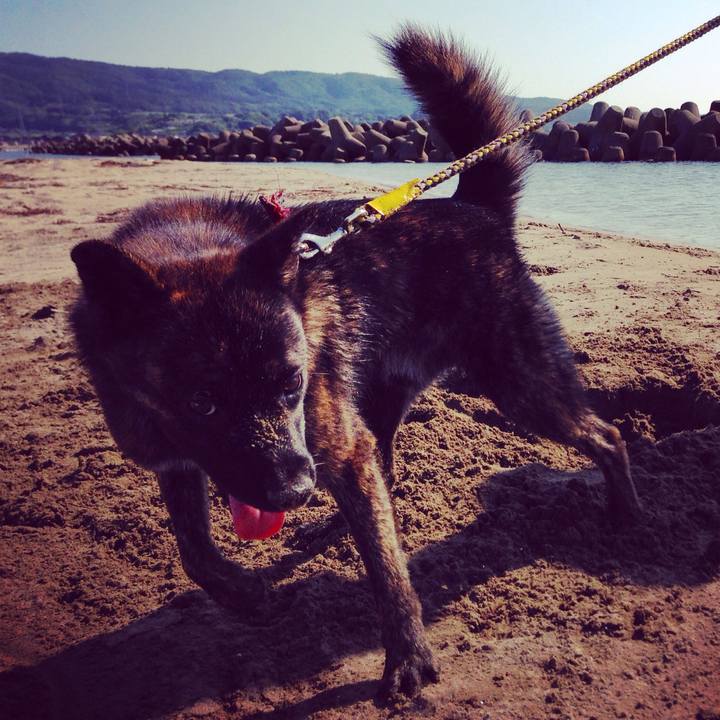 7b3e15a8 1fa5 4ebd a827 42b25a891a37