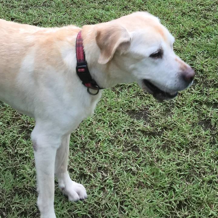 7b3ea07d b2a2 42b9 b983 1d2d7b948dc5