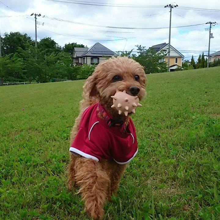 7b3f3d18 91de 4dd8 869a 4b0822610d52