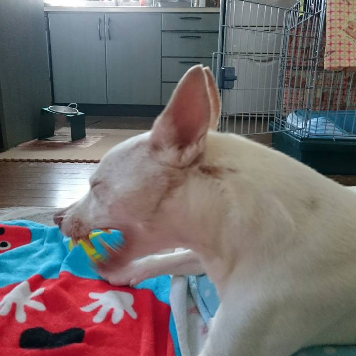 7b3f3e38 bf05 4423 afa0 8d6e8107b134