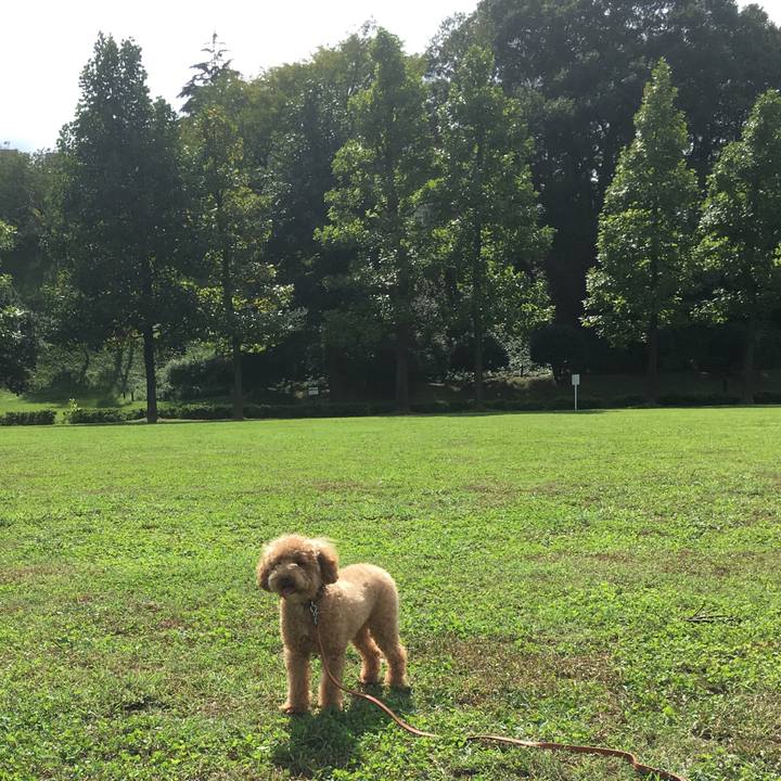 7b3fe4dc faca 4579 b1fb a7121dc375fa