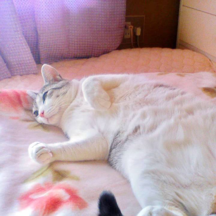 7b4082a5 f8d2 4100 8a61 c0ea09689e25