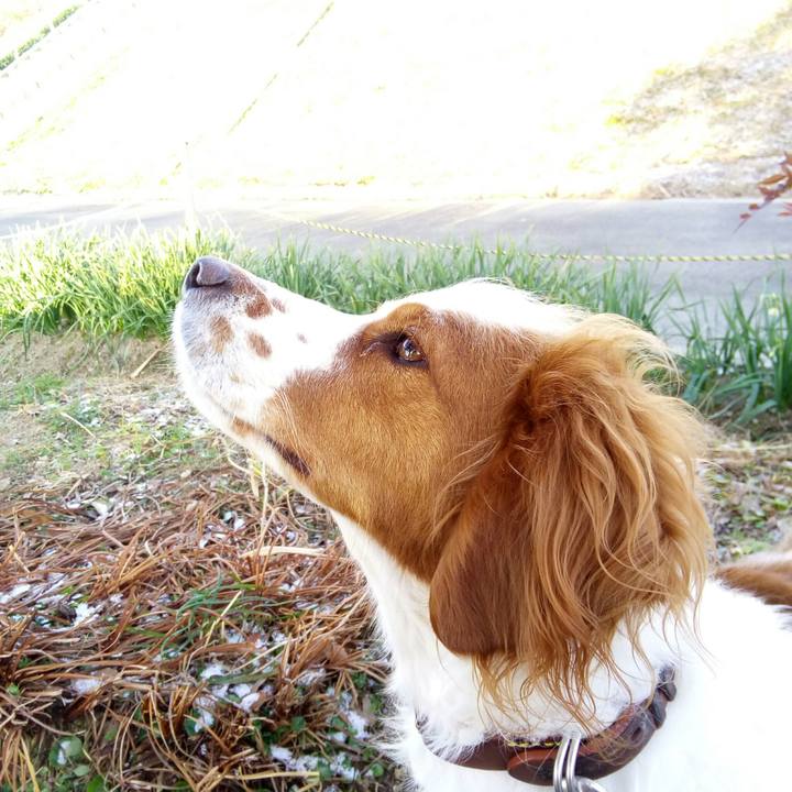 7b40d953 1870 43bf b38d cb86aca2cc13