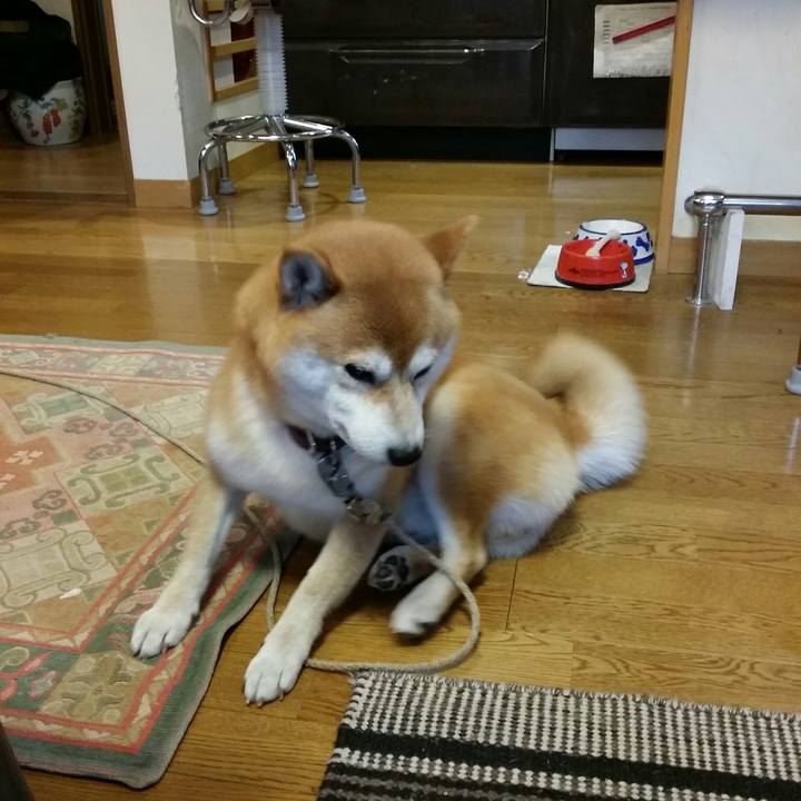 7b414cac 04b7 4613 87e3 3dcb0b8ac523