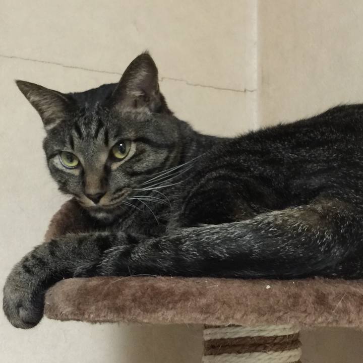 7b420dfc 6eda 4613 87fe 18bd38d5d036