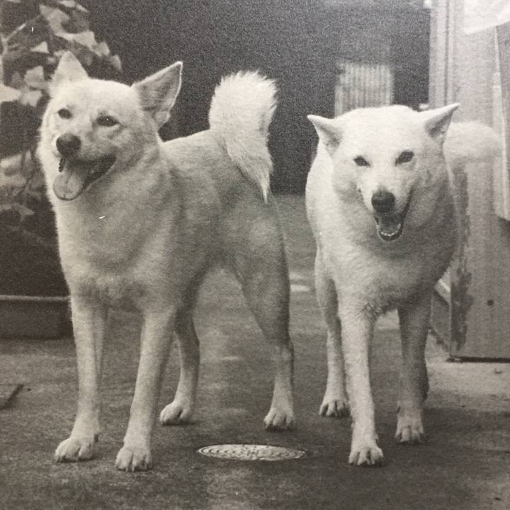 7b4211b3 12f8 4188 a03c 0bb6a2f172ab