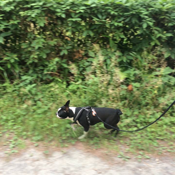 7b442e0c acfe 4eb7 a3fa 2cedda169c44