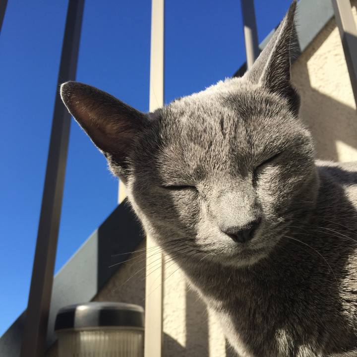 7b443696 4165 4079 b5fa 2a0a0ce49837