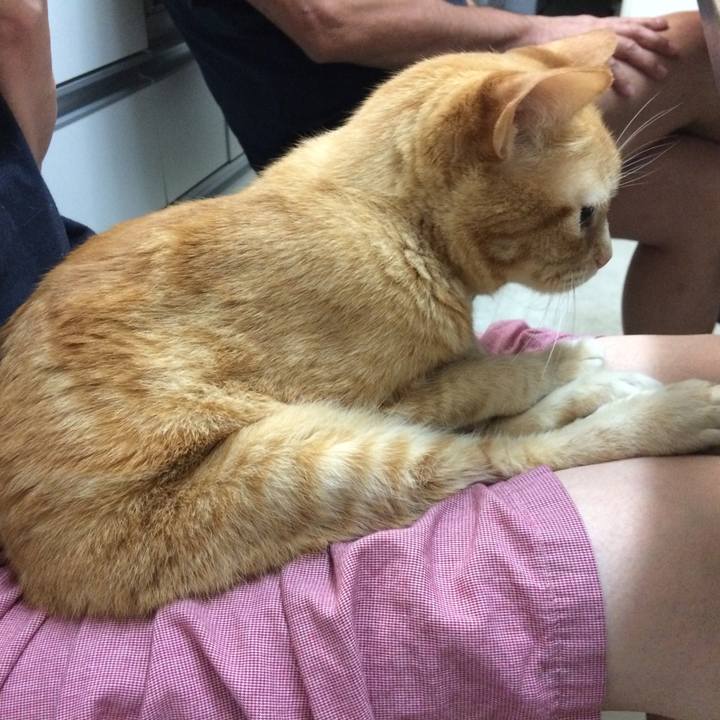 7b446074 8585 413e 829b 388281ae436e