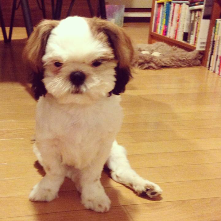 7b448dd9 7991 4feb 8ae8 d515c8a6ed89