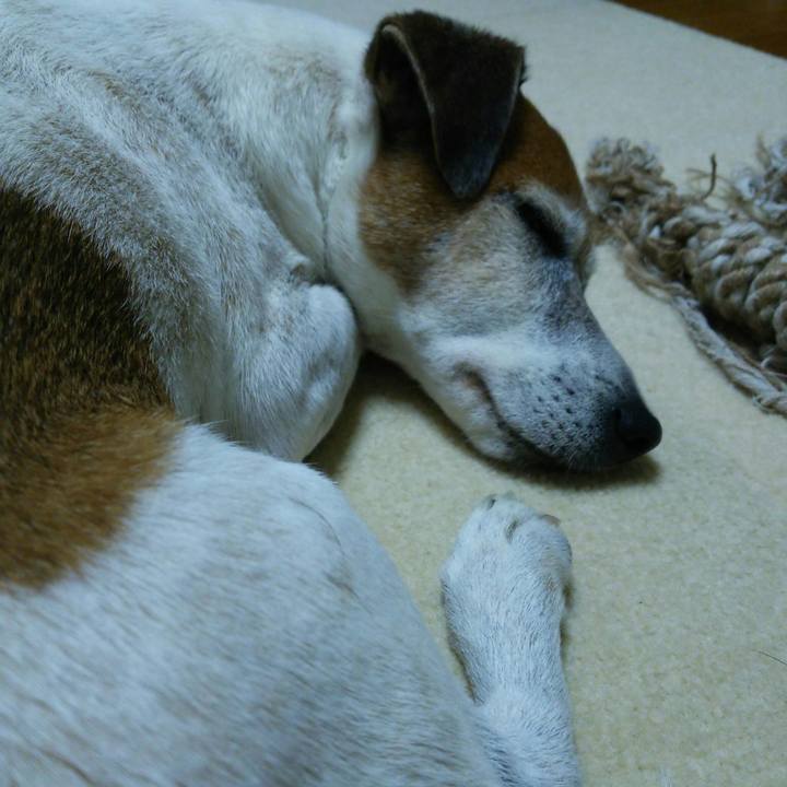 7b44a686 37ee 41a2 88b7 0c08e18c61e6