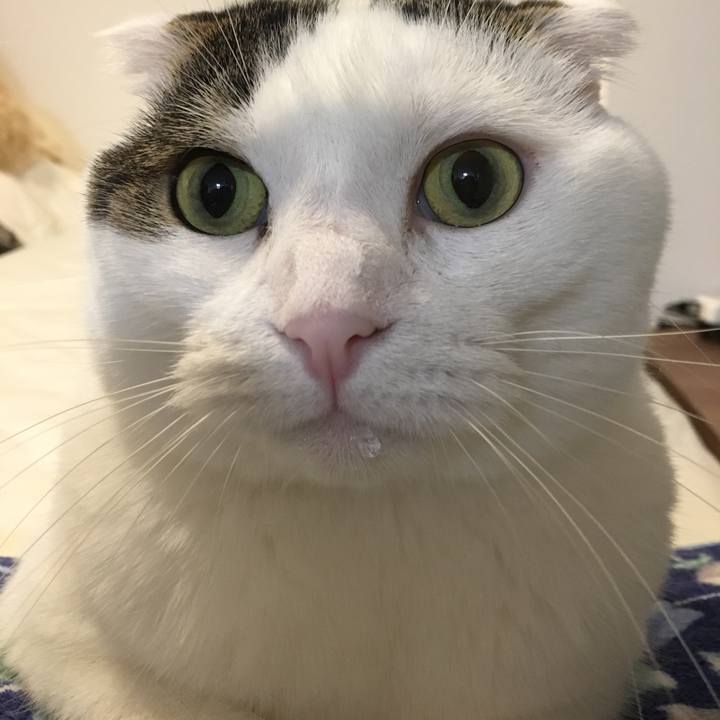 7b44b986 6779 4f24 96bb d145abe26387