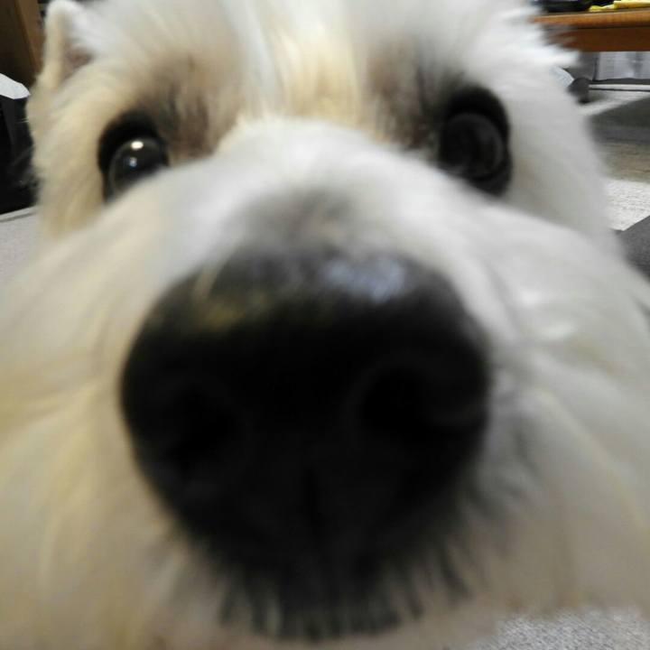 7b453406 6c50 47ef 8da3 1bbb61bafee9