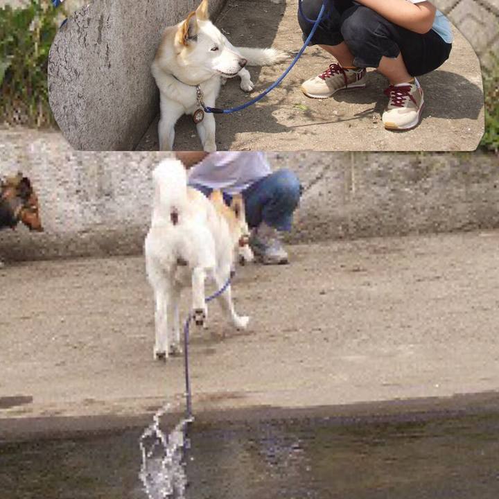 7b45d9d5 ef19 4173 aaaa 4c2cbcd2e8bd