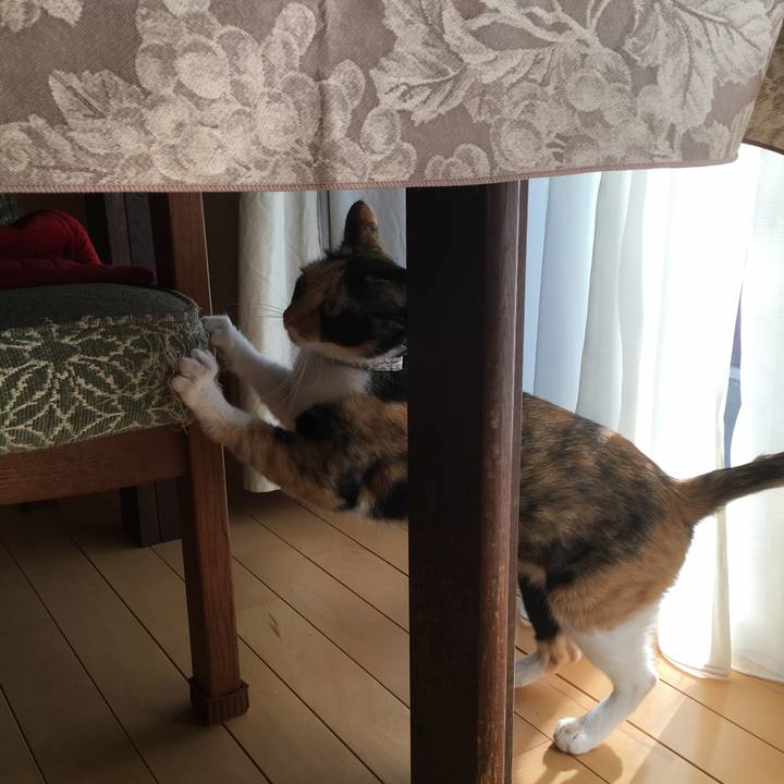 7b4660bb a825 49e2 9938 7b6a8b9dadd8