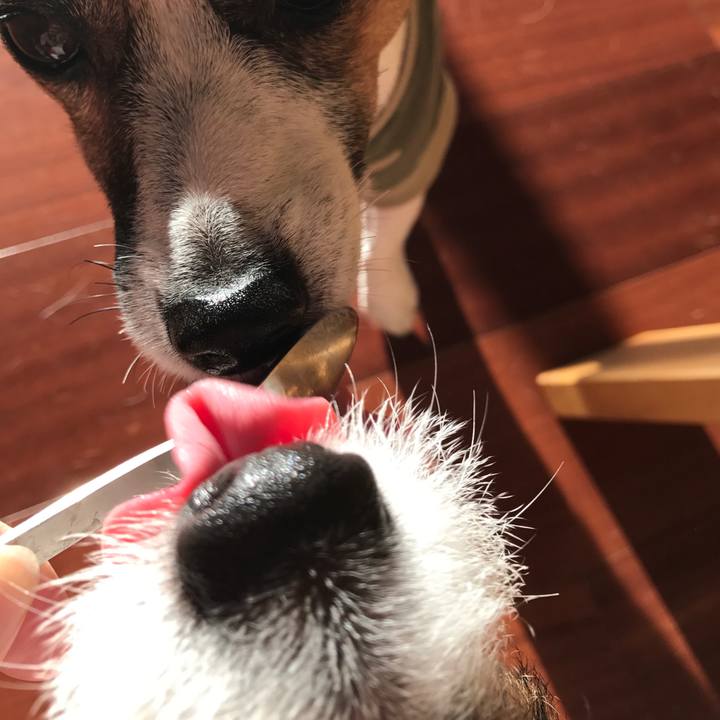 7b471e50 8d69 4a83 b01d c8b2081c51f0