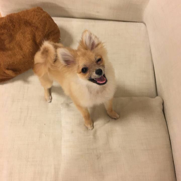 7b473140 44b1 4d30 a77a e25f5254f1f2