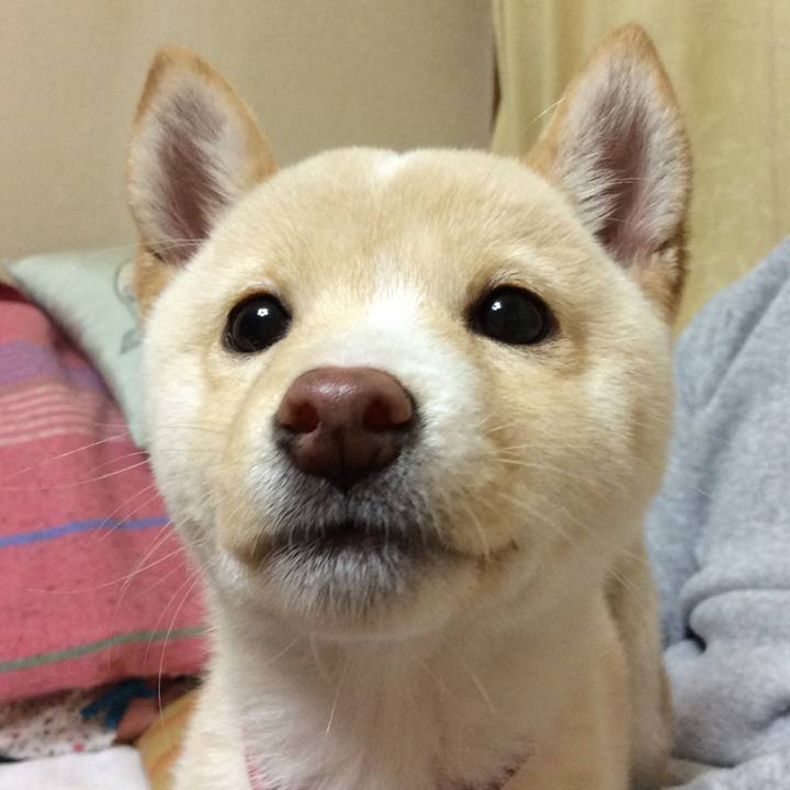 7b47d9c3 60df 4e04 93c4 09b435f24385