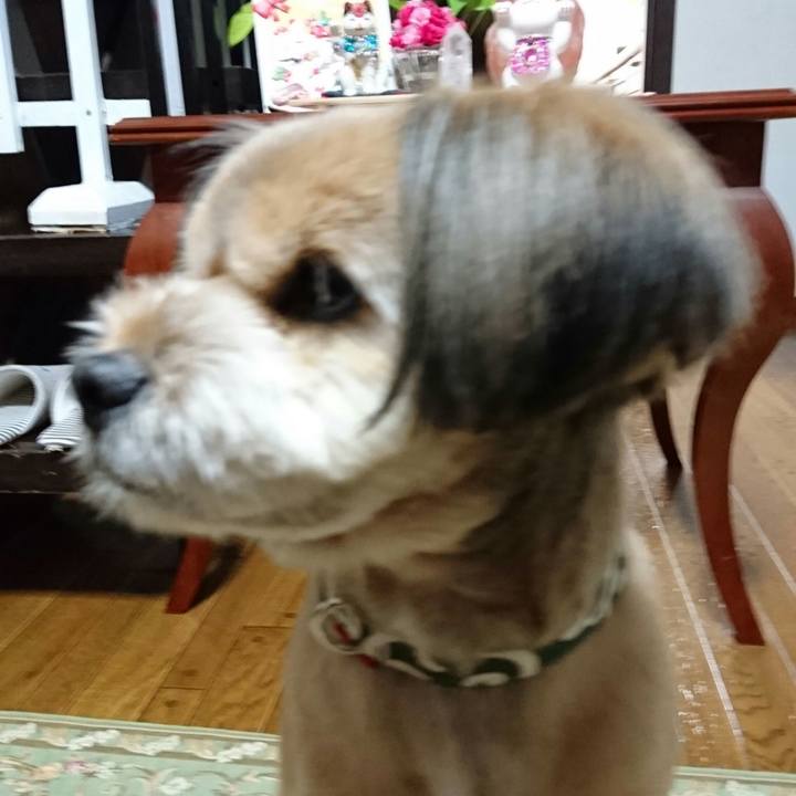 7b47f62f 749f 4fb4 a101 4b35f2855158