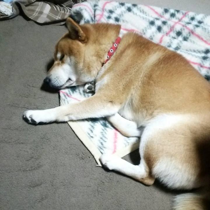 7b484545 f164 4c54 ab14 5e95586f23f2