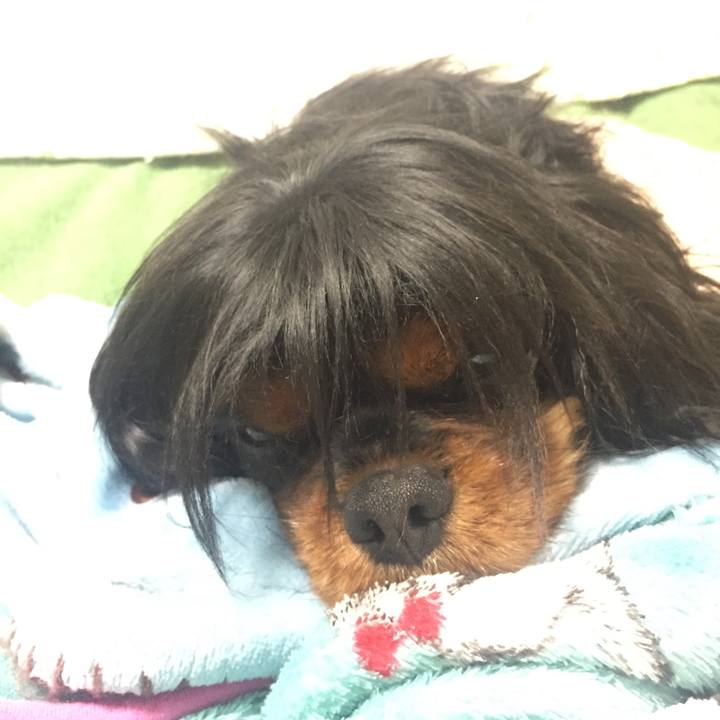 7b48868b ca79 477e 959e e4d67a63a40f