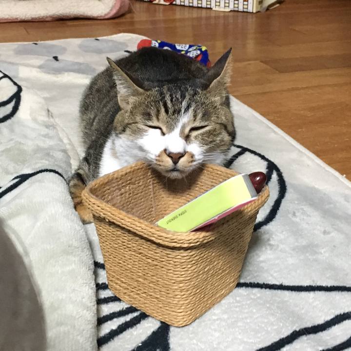 7b4916a7 273a 4d68 a624 c8d694f37a81