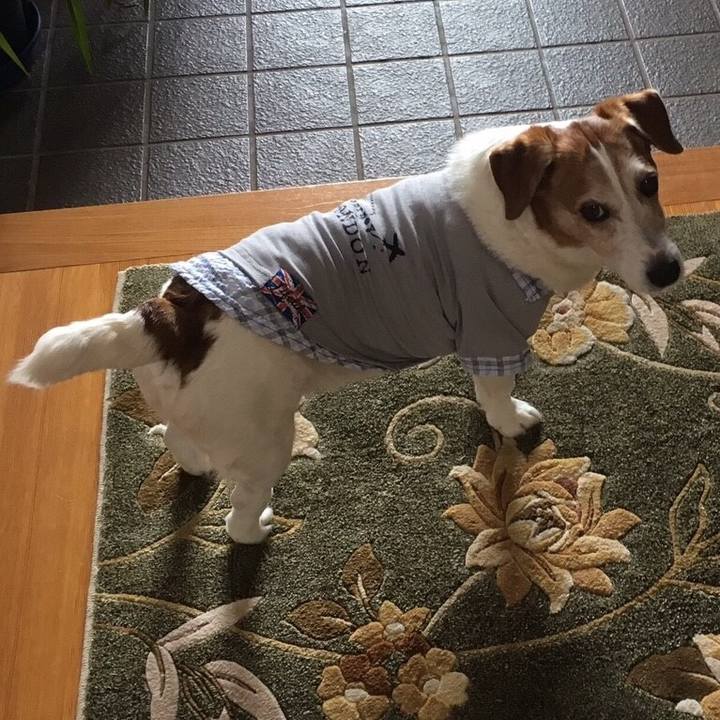 7b4981a2 589e 4229 a910 563aa06a2830