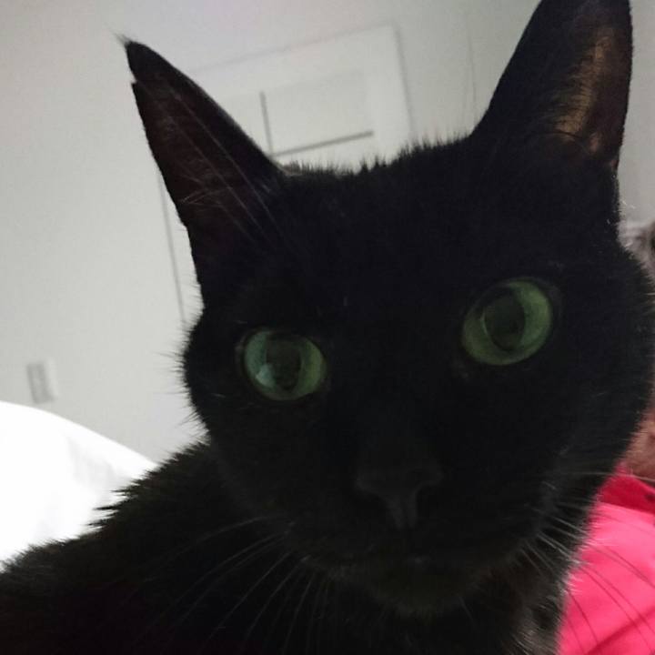 7b4a377b 8b60 4e5c a06c b51f60e12ce9