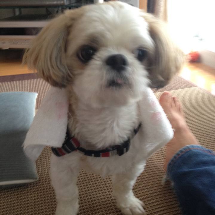 7b4a92ab 9433 445e b37c c963cfbb2c2b