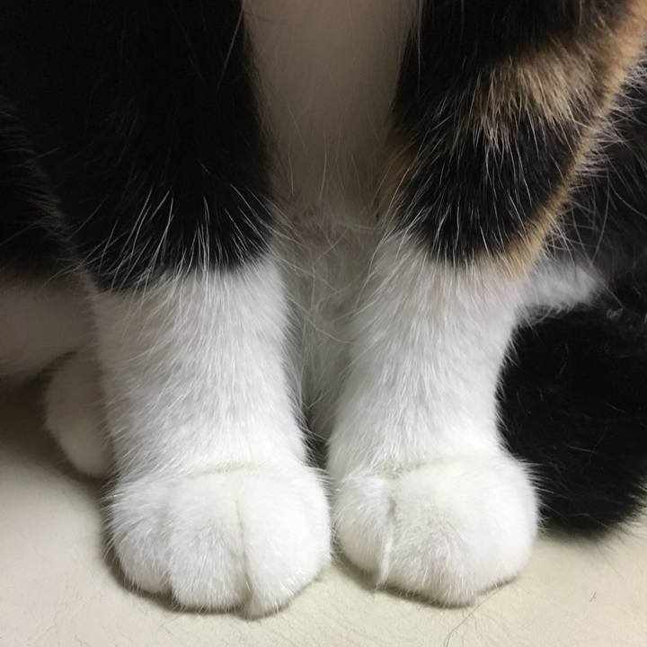 7b4b32a4 2fa3 4bc2 9e88 79f9a54591a2