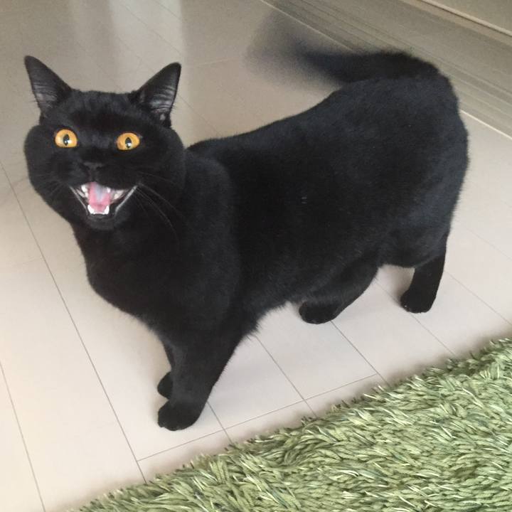 7b4b6b6d d728 433e b617 2c8efb4c1e12