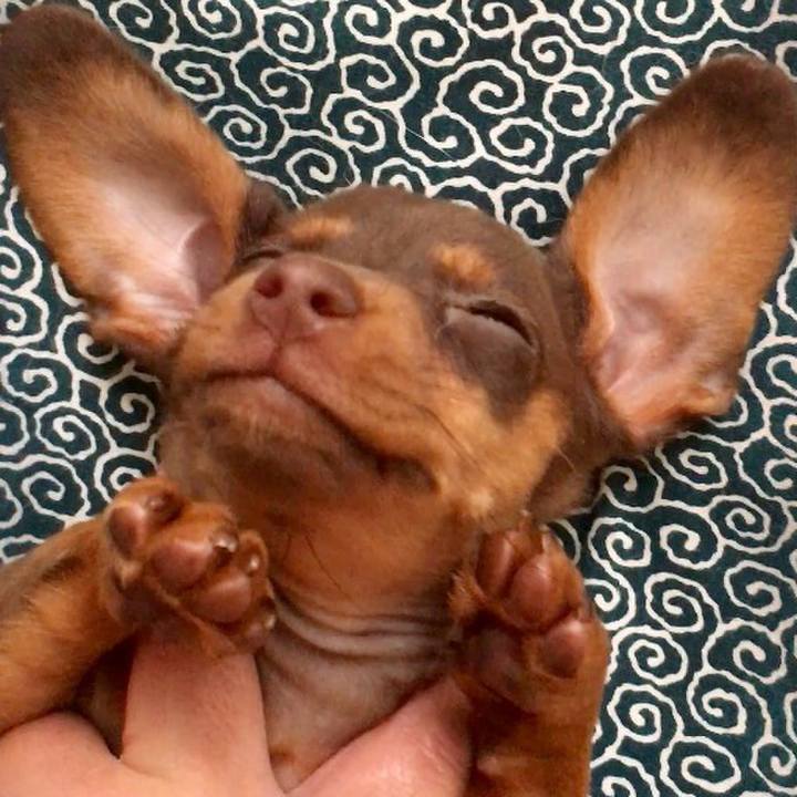 7b4bcaf8 eb5b 4e85 9d8d d5ba09d7a6ad