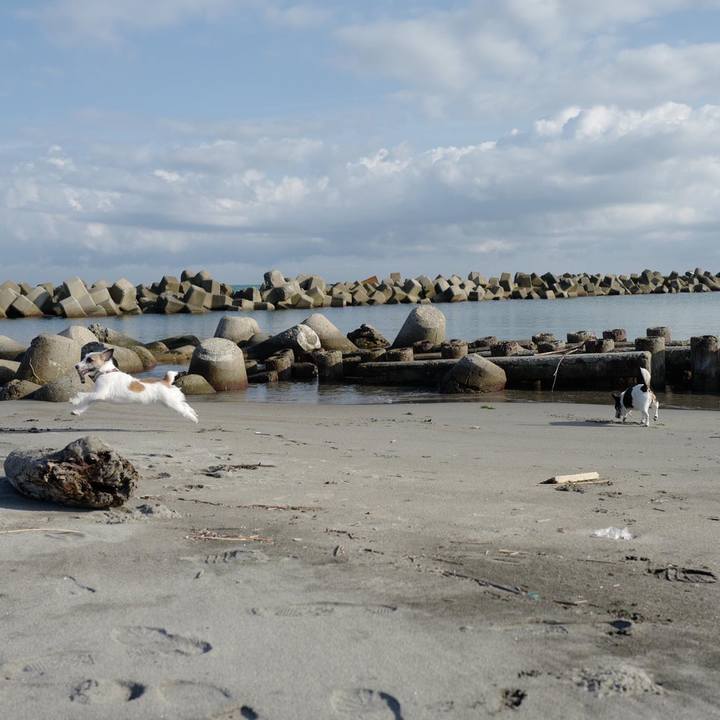 7b4bd159 4f8e 4fcf bde1 96ce905e8e2c