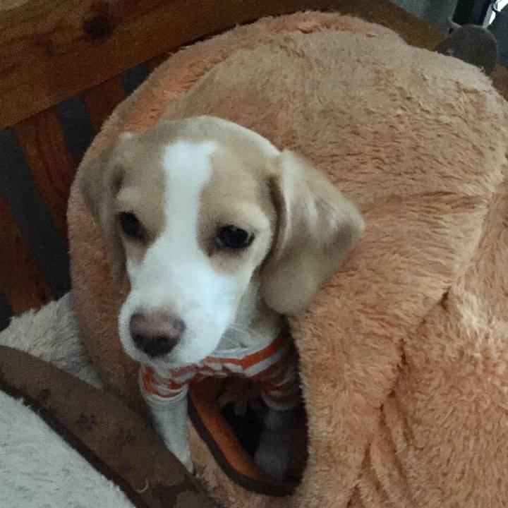 7b4bf888 f4d9 49a1 b80b 947752ac7fff