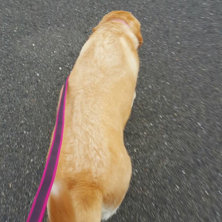 7b4c2126 54d8 4676 9f68 a302c8cbcc46