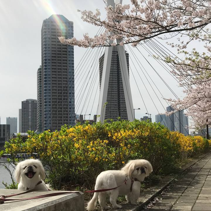 7b4cb92a 1d60 4d7b a26d 6cc94c1e0fb2