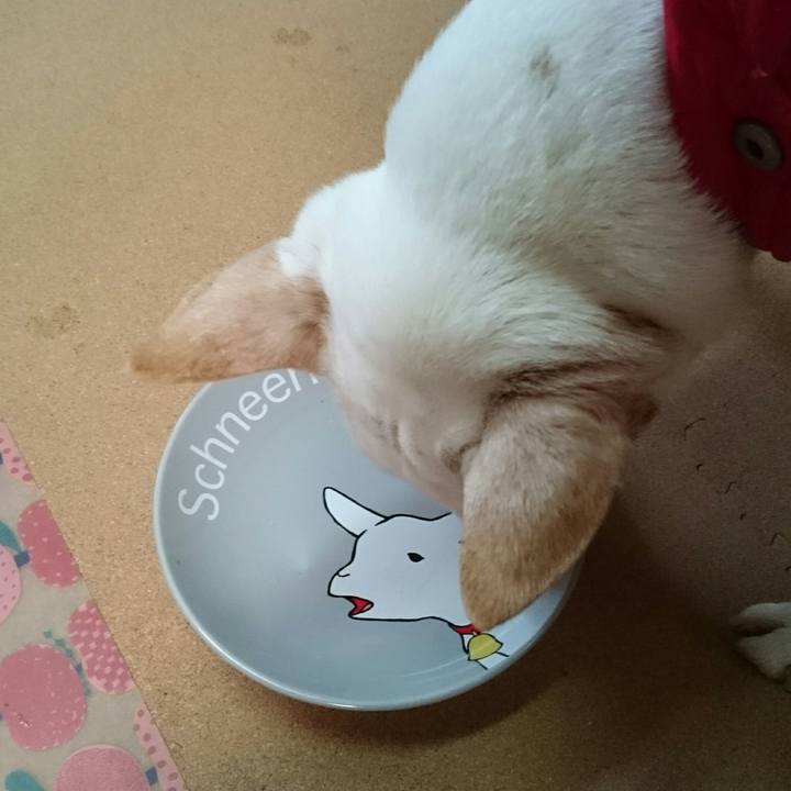 7b4d1a05 a096 428d b69d 01ebc1fad3f8