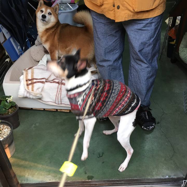 7b4d59e3 9fec 4182 b4f4 72c8a65df5de