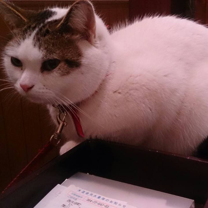 7b4de112 6fa4 4ce6 9d47 ac66ed11638f