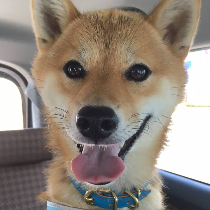 7b4e13e9 8a02 445e b099 8322707216aa