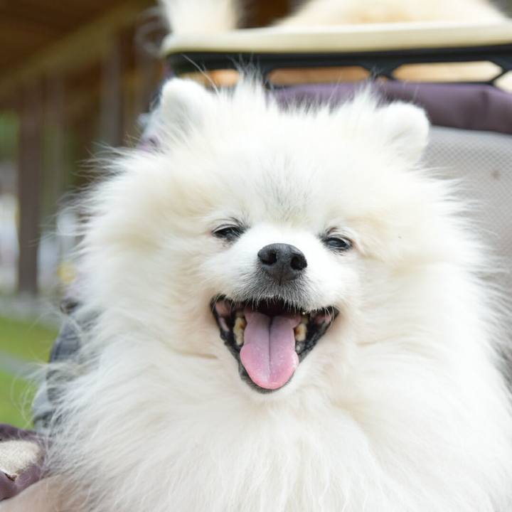 7b4e610f f7d5 46d7 b675 d43e4dca6f5d